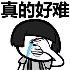 双面呢面料2
