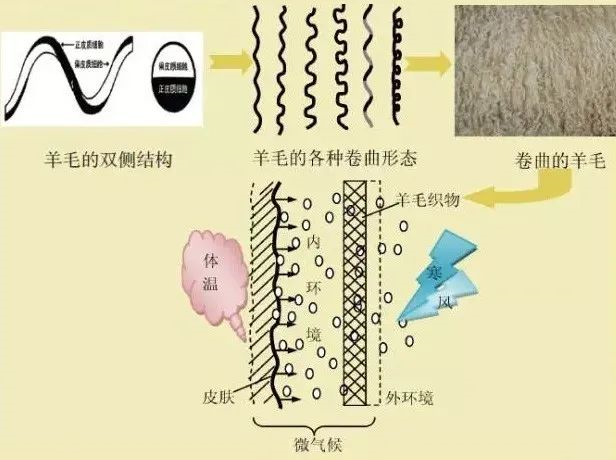 双面呢面料3