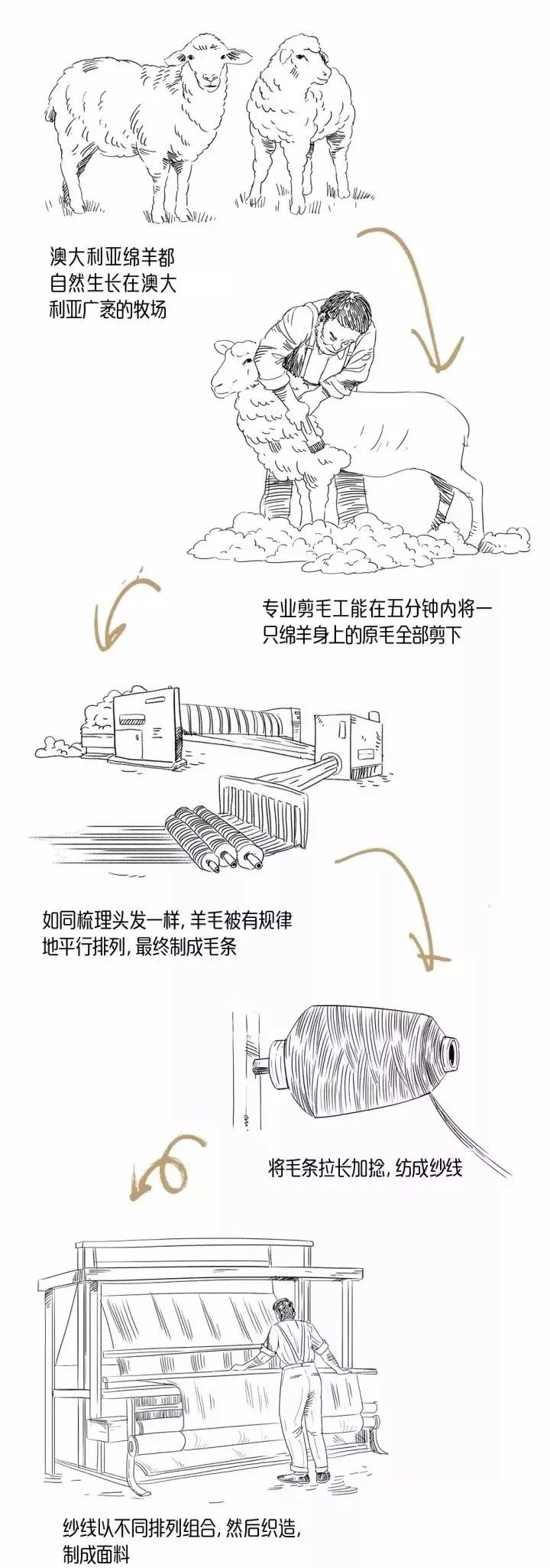 双面呢面料5