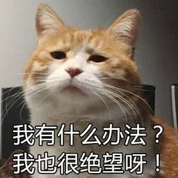 双面呢面料7