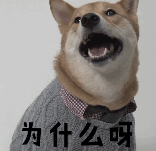 粗纺毛呢面料1