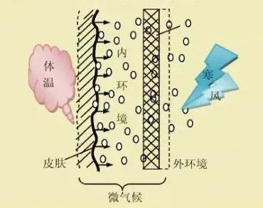 粗纺毛呢面料5