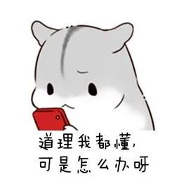 千鸟格面料5