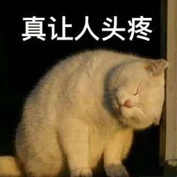 千鸟格面料4