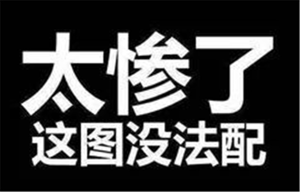 全面双面呢面料05