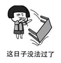 格子呢面料11
