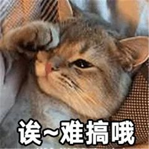格子麦尔登面料08