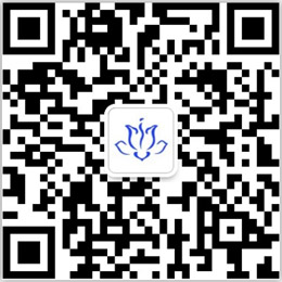 联系栀子花 联系栀子花
